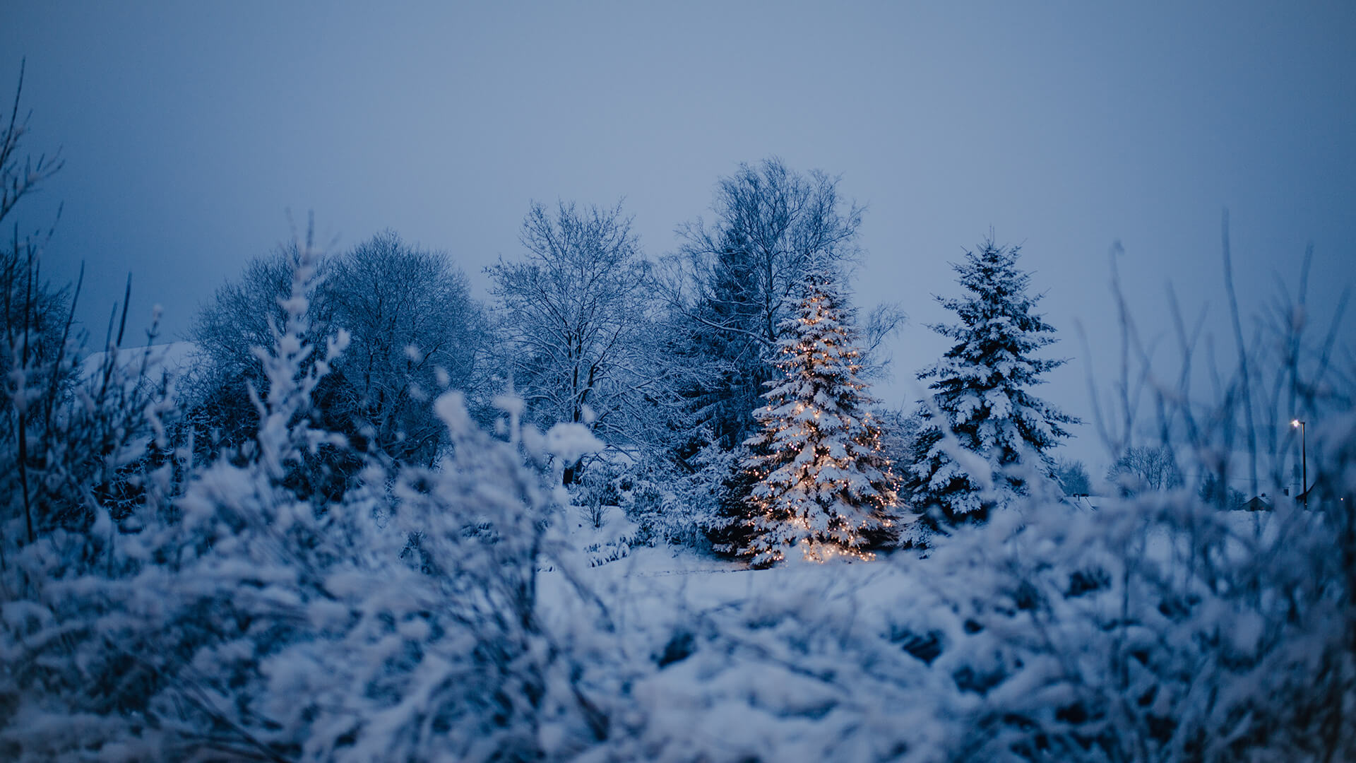 Slide Winter Weihnachtsbaum